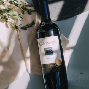 Vino Gato Negro 750 ml